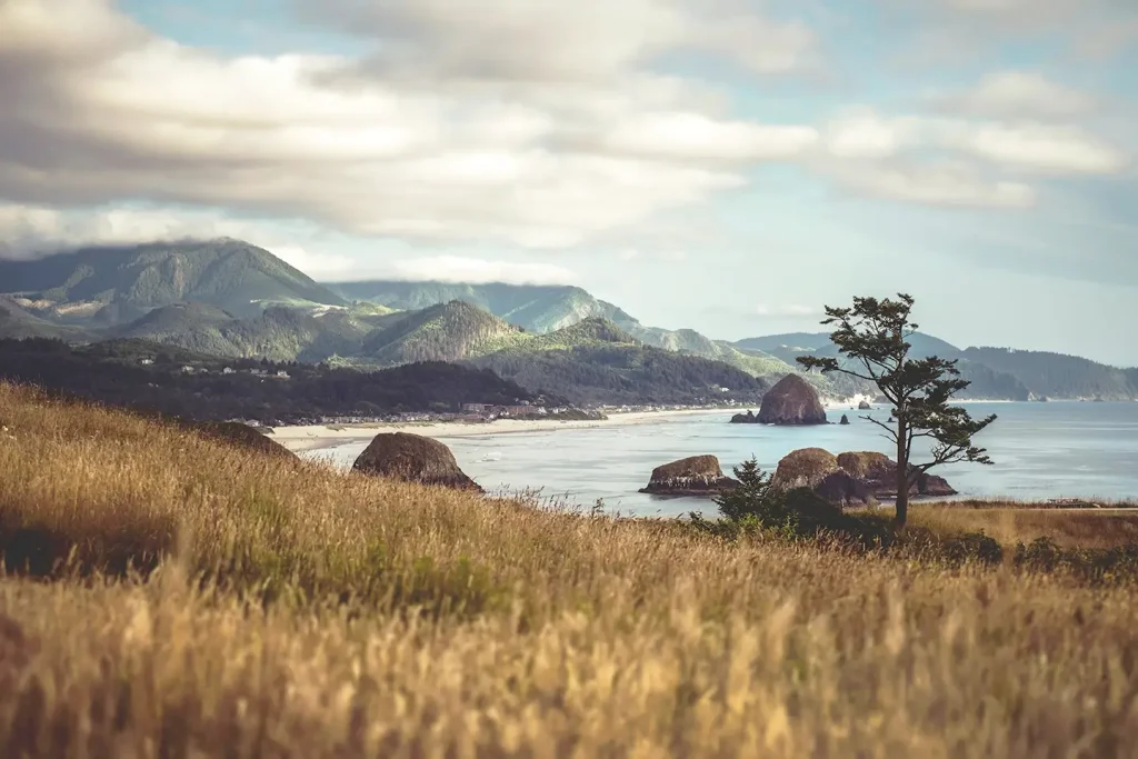 Oregon coast
